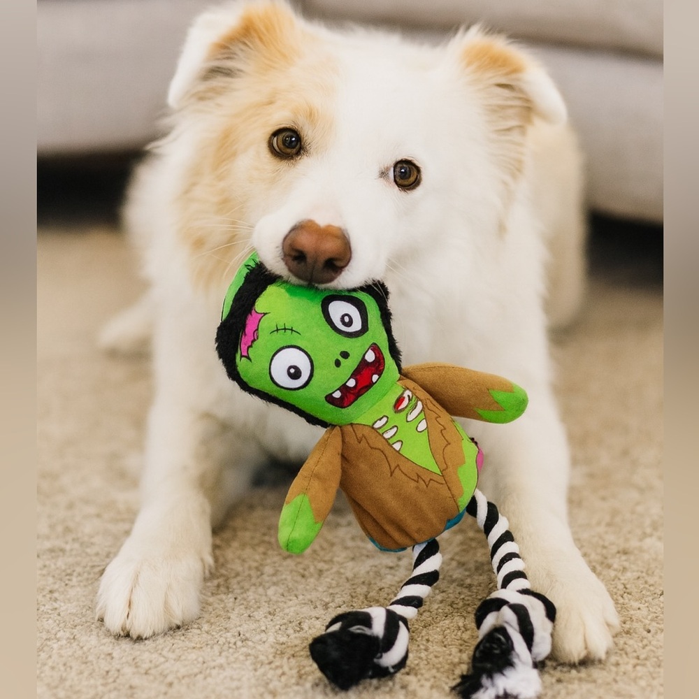 Halloween Monster Chase Chew Dog Toy